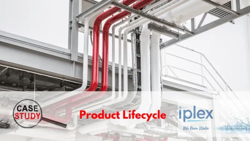 product lifestyle