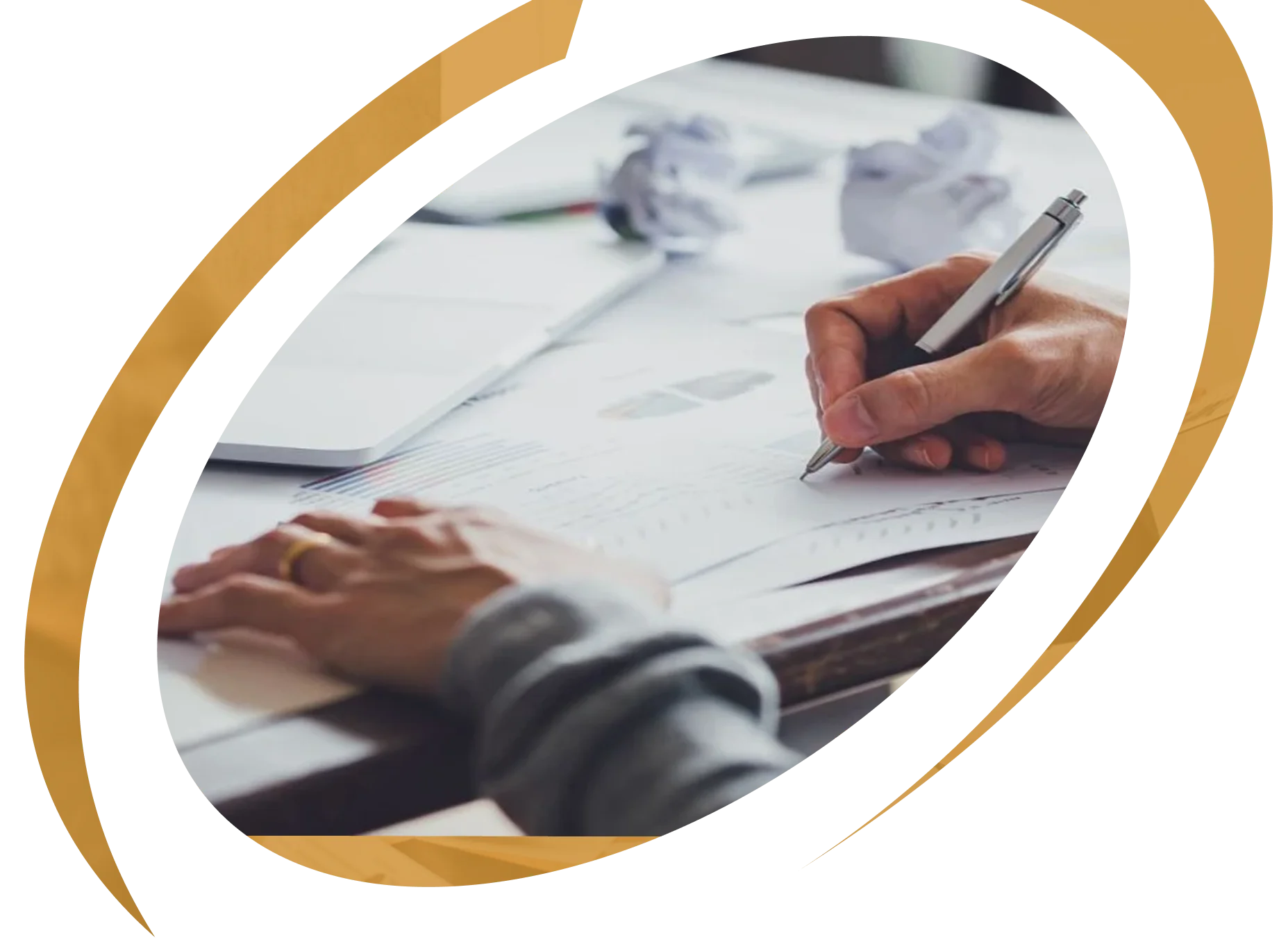 sbaas professional writing