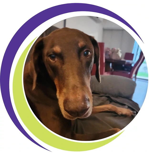 Sbaas rory support staff