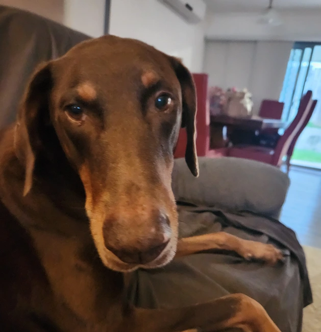 Sbaas rory supportstaff